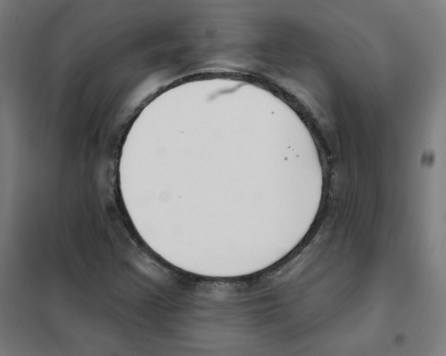 X0000101401355200808041031