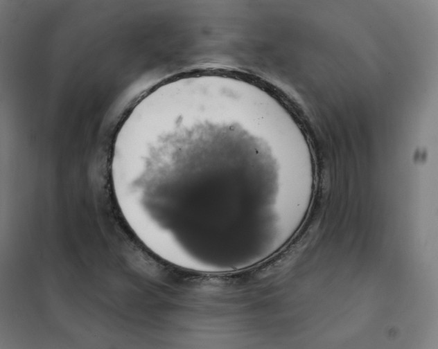 X0000101401359200808041031