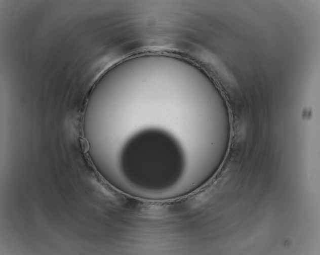 X0000101401361200808041031