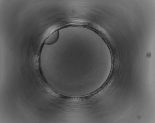 X0000101401362200808041031