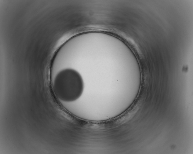 X0000101401365200808041031