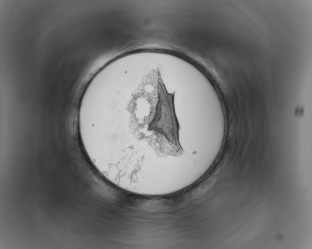 X0000101401367200808041031