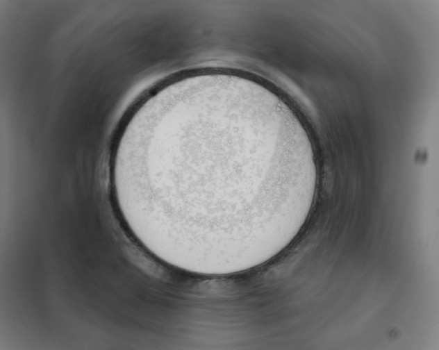 X0000101401368200808041031