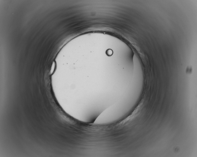 X0000101401369200808041031