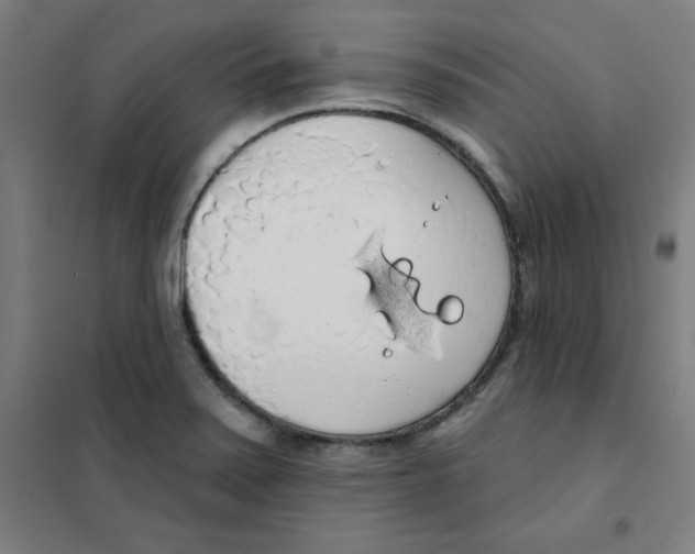 X0000101401371200808041031