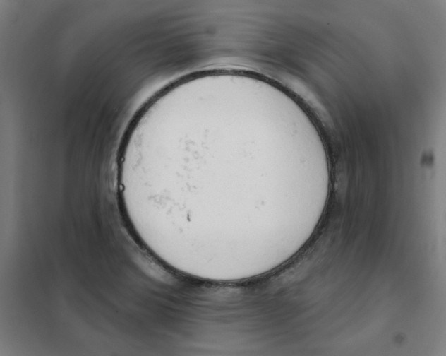 X0000101401372200808041031