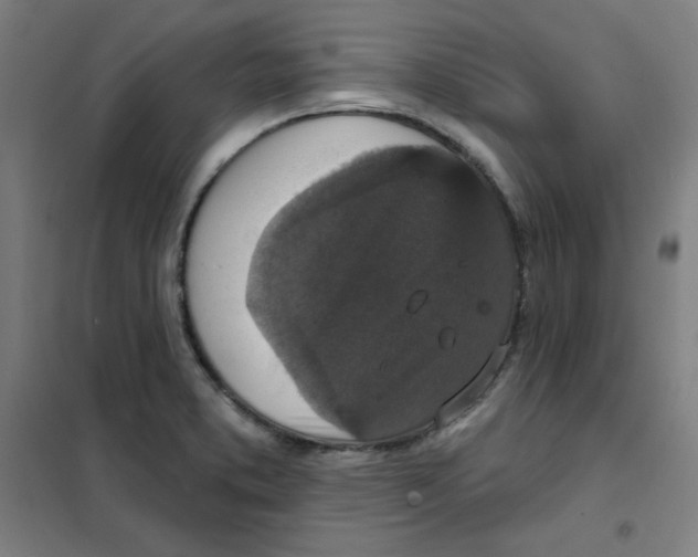 X0000101401373200808041031