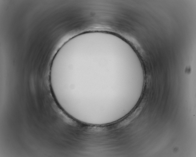 X0000101401374200808041031