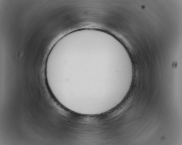 X0000101401375200808041031