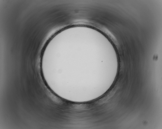 X0000101401376200808041031