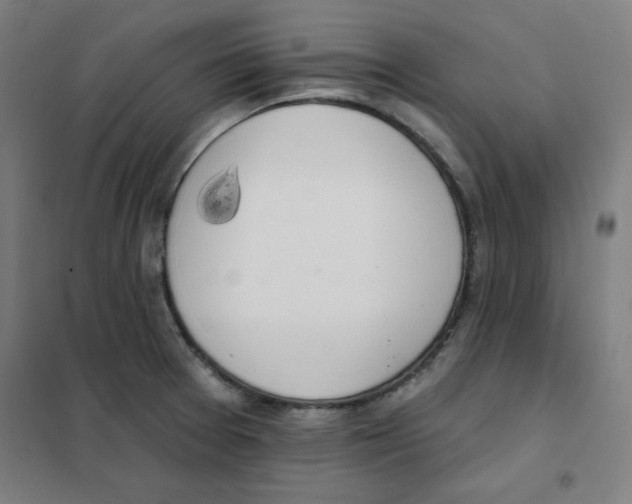 X0000101401377200808041031