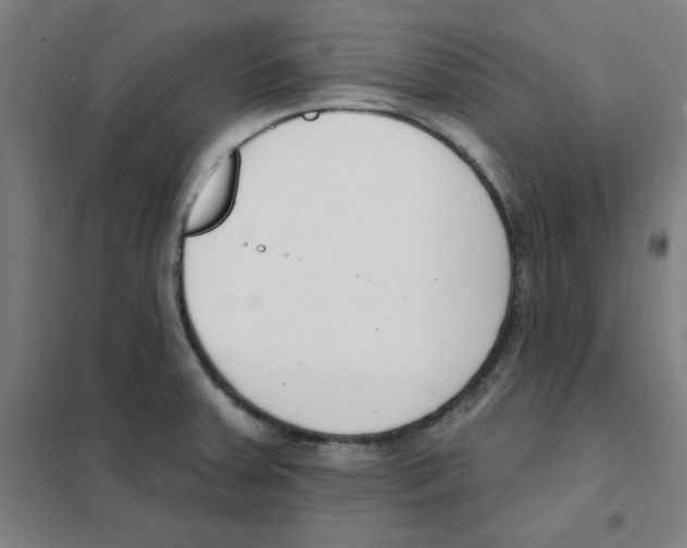 X0000101401379200808041031