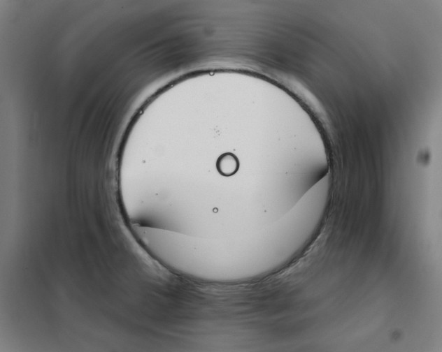 X0000101401380200808041031