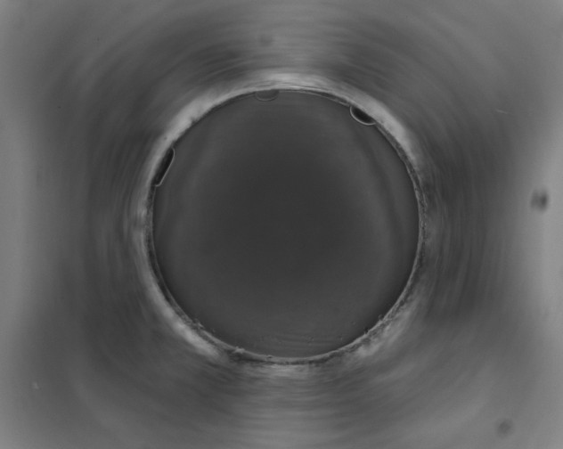 X0000101401381200808041031