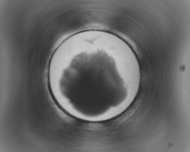 X0000101401383200808041031