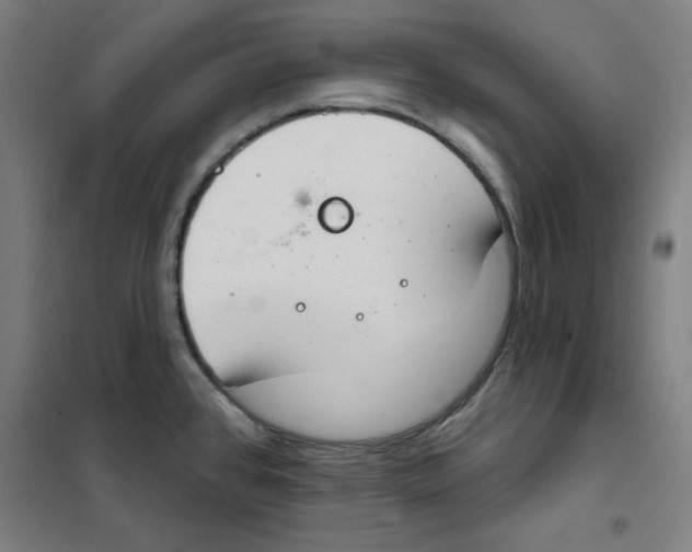 X0000101401384200808041031