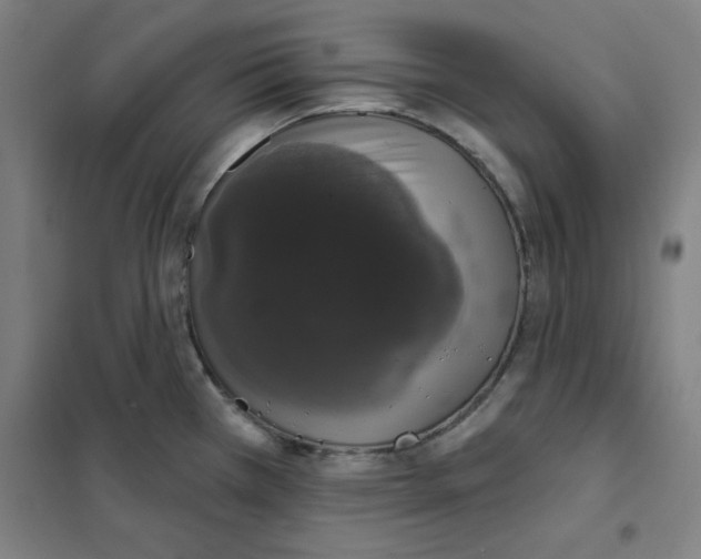 X0000101401385200808041031