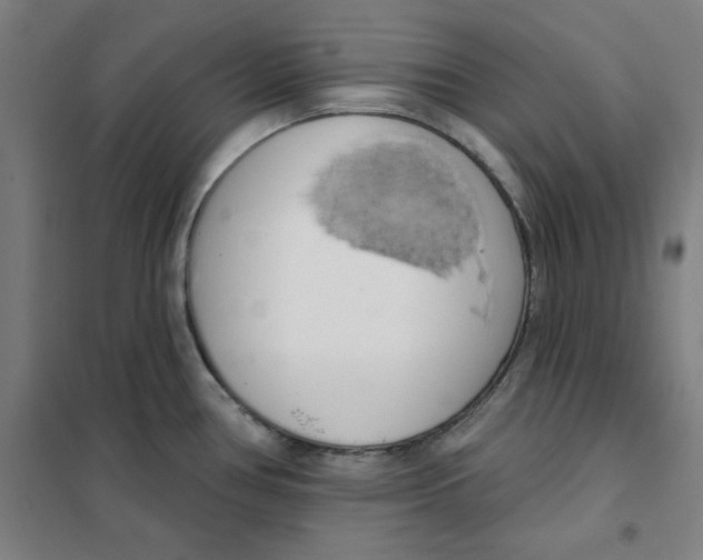 X0000101401386200808041031