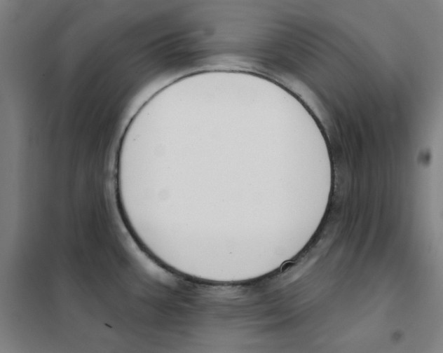 X0000101401387200808041031