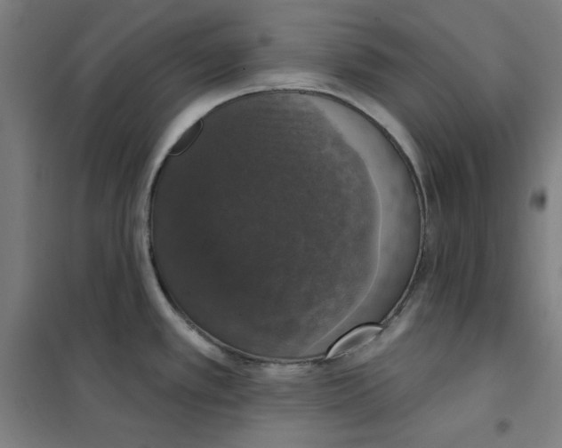 X0000101401389200808041031