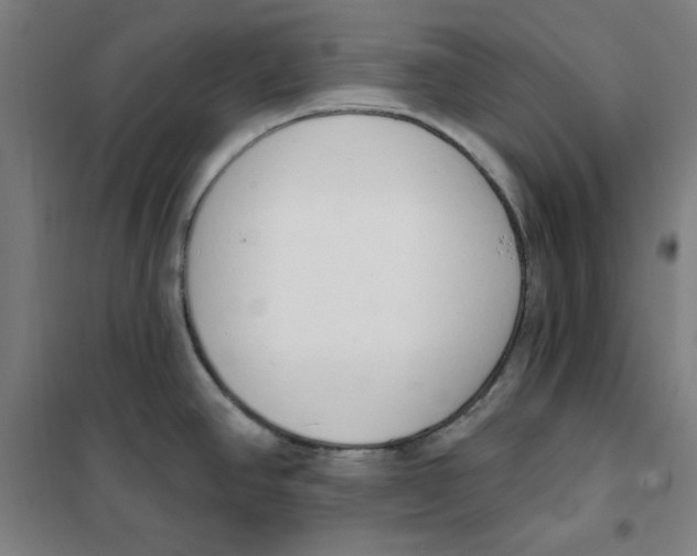 X0000101401390200808041031