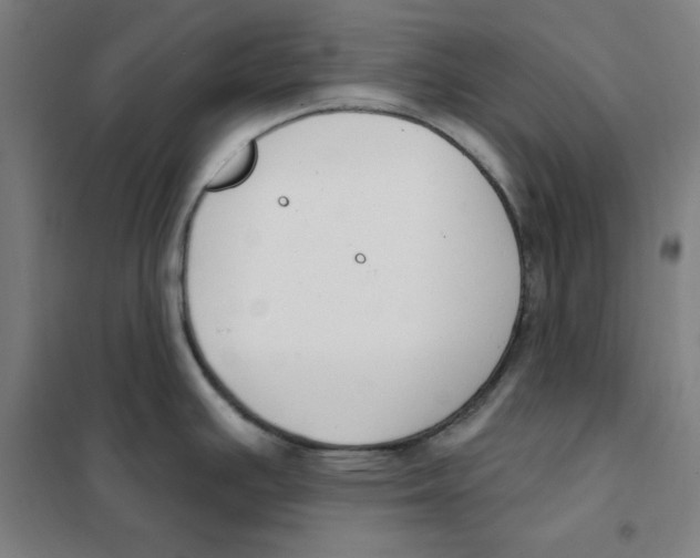 X0000101401391200808041031