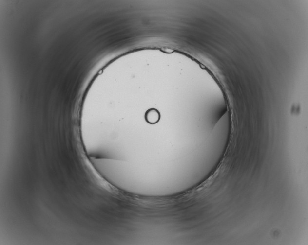 X0000101401392200808041031