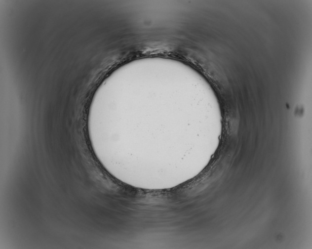 X0000101401393200808041030