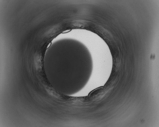 X0000101401394200808041030