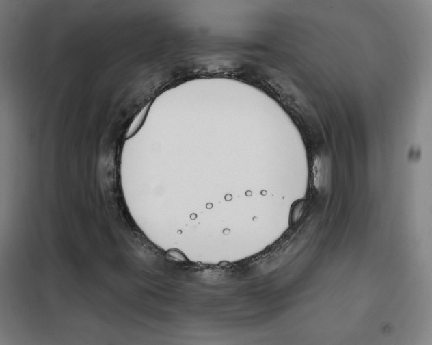 X0000101401395200808041030