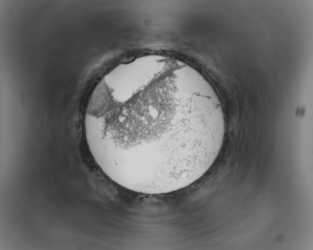 X0000101401398200808041030