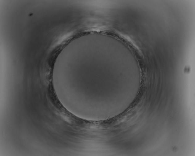 X0000101401399200808041030