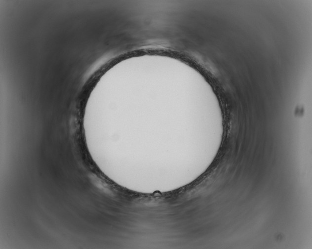 X0000101401400200808041030