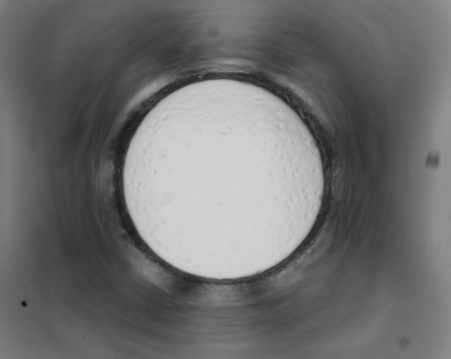 X0000101401402200808041030