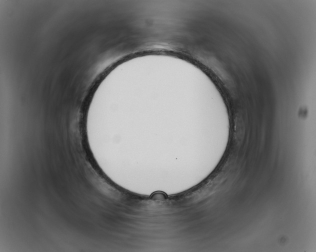 X0000101401404200808041030