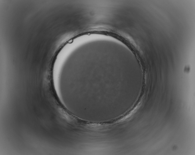 X0000101401405200808041030