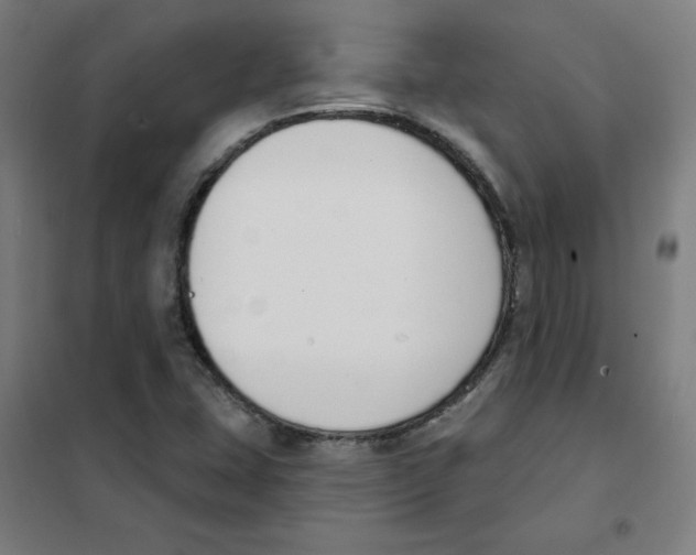 X0000101401407200808041030