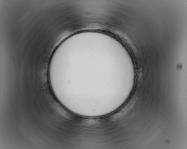 X0000101401409200808041030