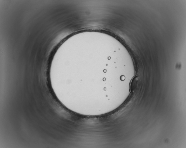 X0000101401410200808041030