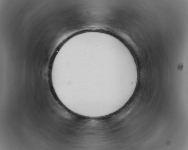 X0000101401412200808041030