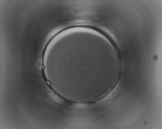 X0000101401413200808041030