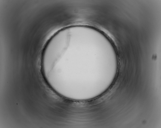 X0000101401415200808041030