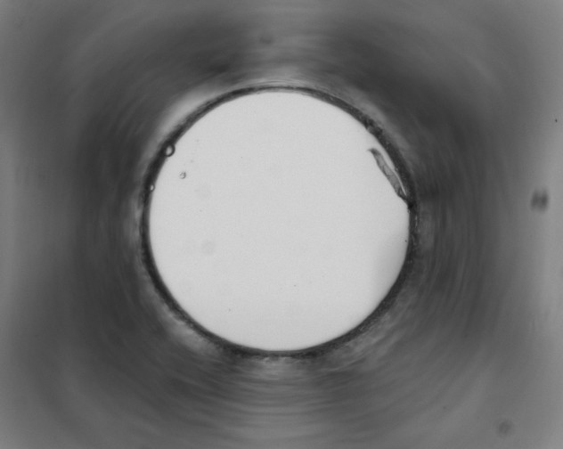 X0000101401416200808041030