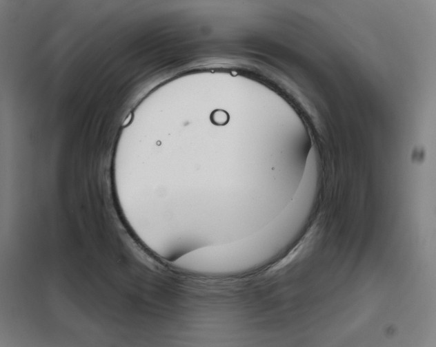 X0000101401417200808041030