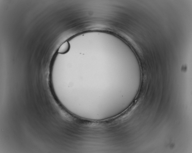 X0000101401418200808041030