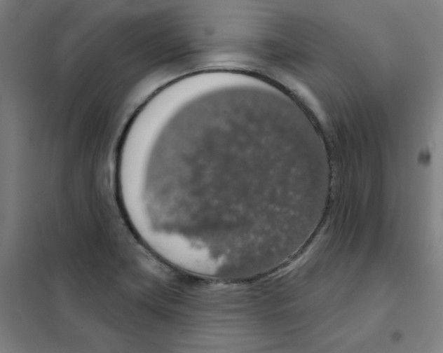 X0000101401419200808041030