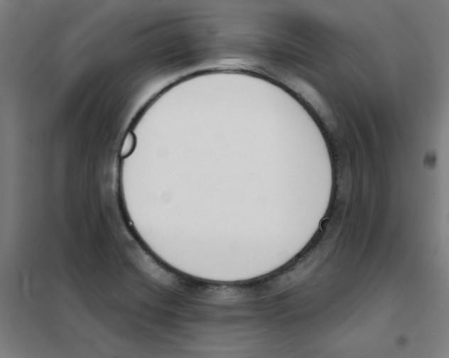 X0000101401420200808041030