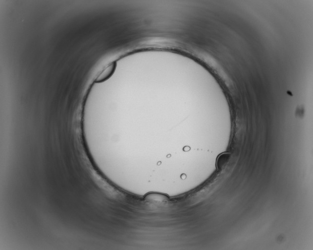 X0000101401421200808041030