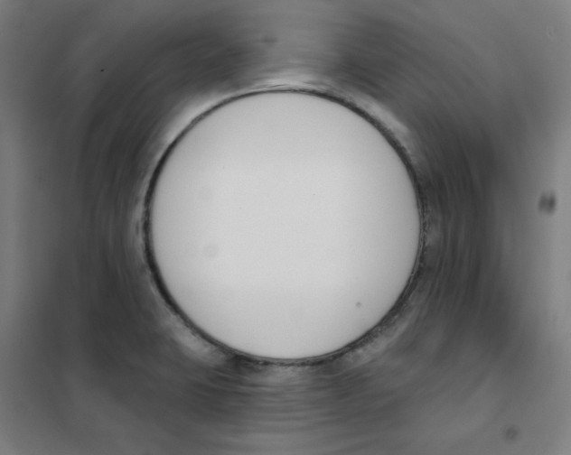 X0000101401423200808041030