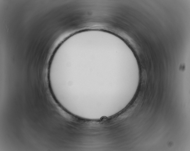 X0000101401424200808041030